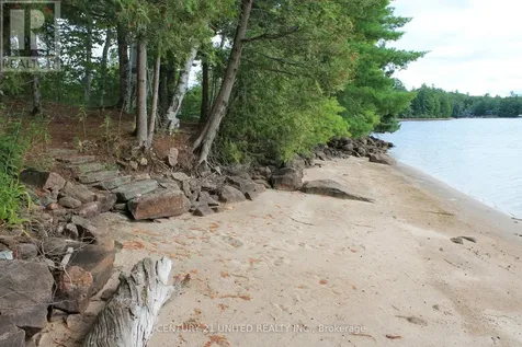 45 Fire Route 223 Trent Lakes ON K0L 1J0