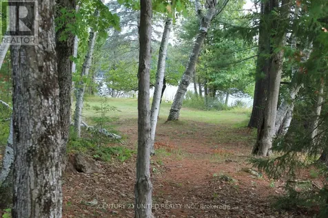 45 Fire Route 223 Trent Lakes ON K0L 1J0