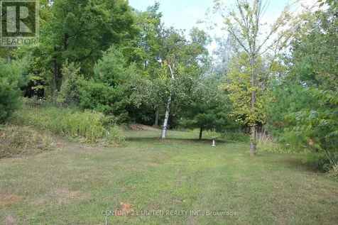 45 Fire Route 223 Trent Lakes ON K0L 1J0