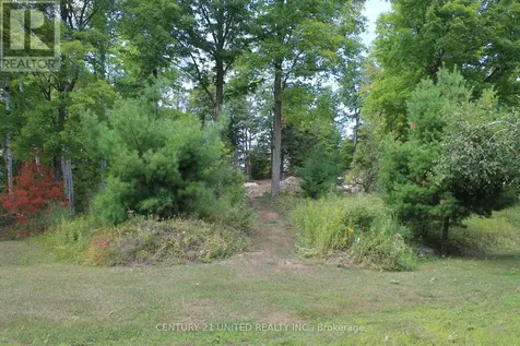 45 Fire Route 223 Trent Lakes ON K0L 1J0