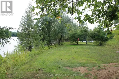 45 Fire Route 223 Trent Lakes ON K0L 1J0