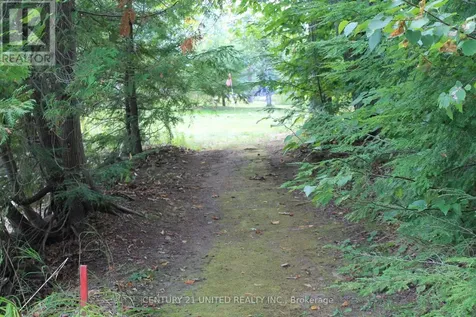 45 Fire Route 223 Trent Lakes ON K0L 1J0
