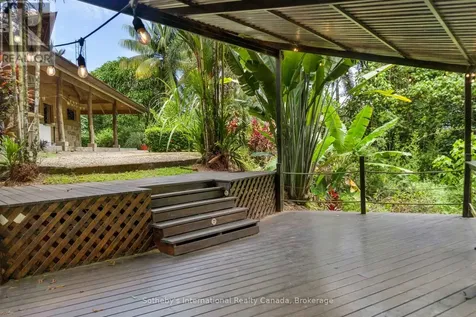 60504 Finca Maranon Costa Rica ON