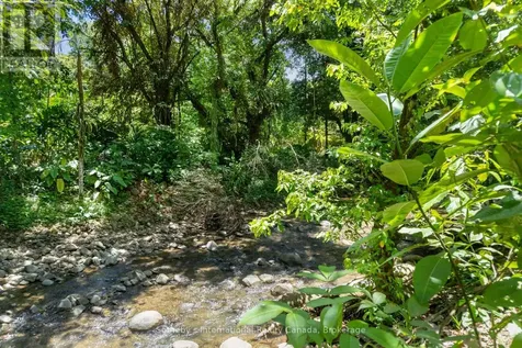 60504 Finca Maranon Costa Rica ON