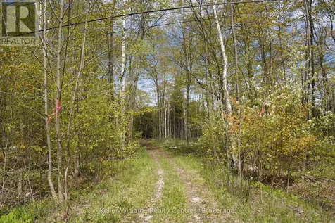 266 Tammy's Cove Road Northern Bruce Peninsula ON N0H 1W0
