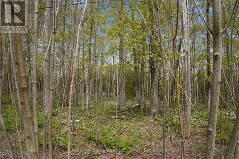 266 Tammy's Cove Road Northern Bruce Peninsula ON N0H 1W0