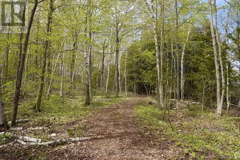 266 Tammy's Cove Road Northern Bruce Peninsula ON N0H 1W0