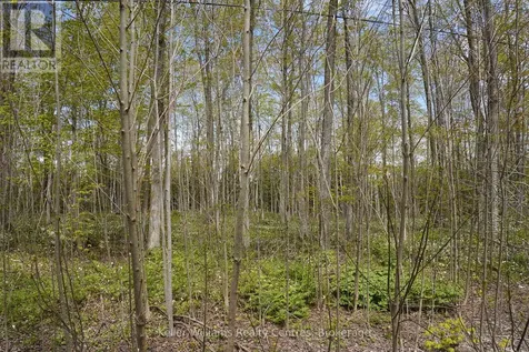 266 Tammy's Cove Road Northern Bruce Peninsula ON N0H 1W0