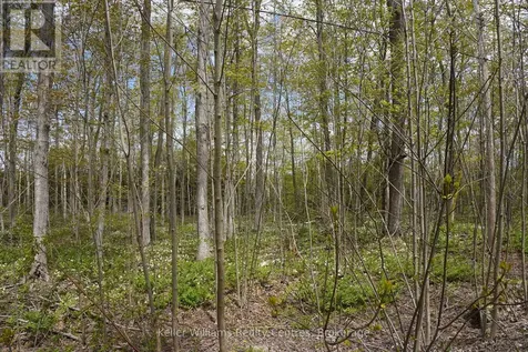 270 Tammy's Cove Road Northern Bruce Peninsula ON N0H 1W0
