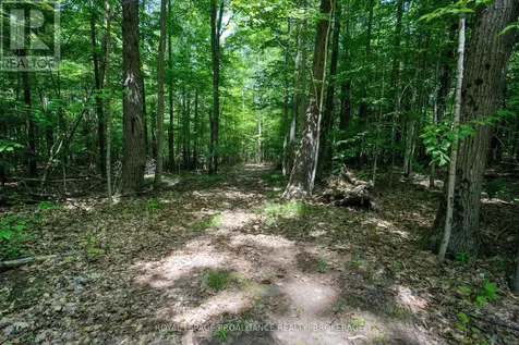 292 Marina Road Rideau Lakes ON K0G 1E0