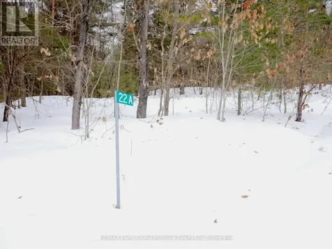 22A Lock Street Seguin ON P0C 1J0