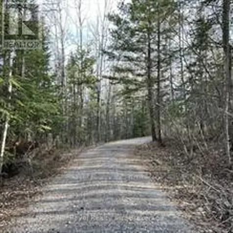 297 Nickel Lake Shores Road Rainy River ON P9A 3M3