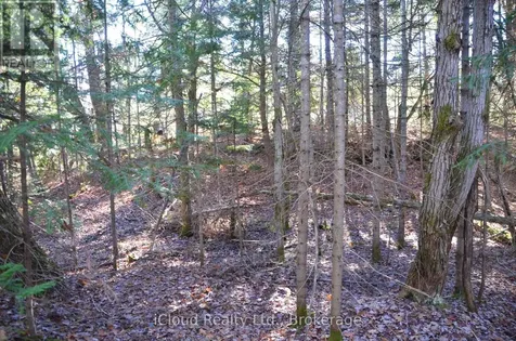 2 Parker Bay Road Whitestone ON P0A 1G0