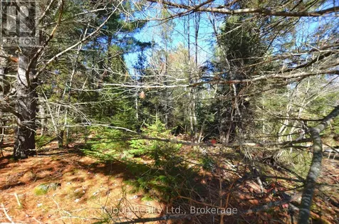 2 Parker Bay Road Whitestone ON P0A 1G0