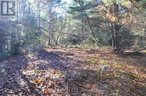 3 Parker Bay Road Whitestone ON P0G 1G0