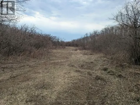 Gray Line West Elgin ON N0L 2P0