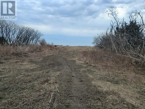 Gray Line West Elgin ON N0L 2P0