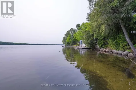 217 Moffat Road North Kawartha ON K0L 1A0