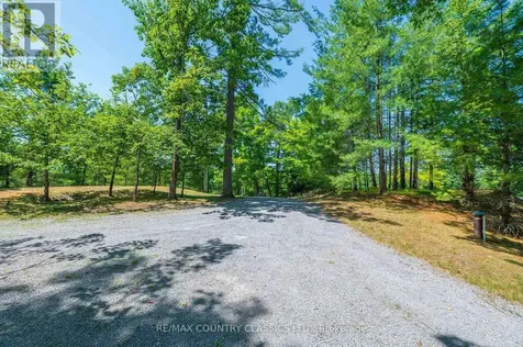119 Fire Route 89b Road North Kawartha ON K0L 1A0