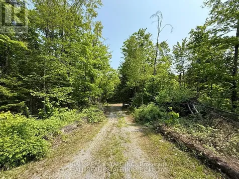 1854 The South Road Wollaston ON K0L 1P0