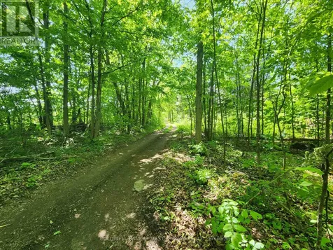 Lot 4-5 Mclellan Road Beckwith ON K7A 4S5