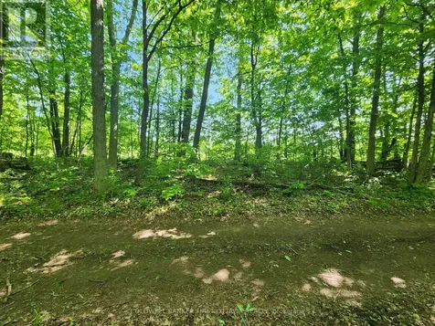 Lot 4-5 Mclellan Road Beckwith ON K7A 4S5