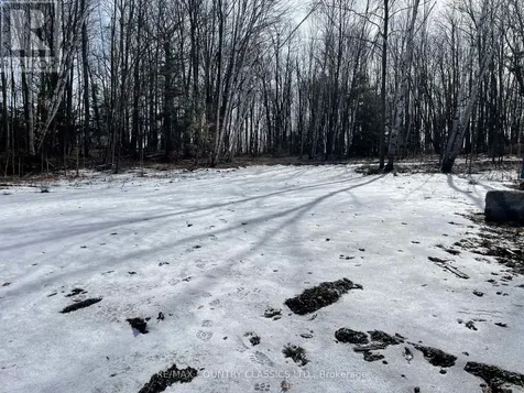 24 Daniels Lane North Kawartha ON K0L 1A0