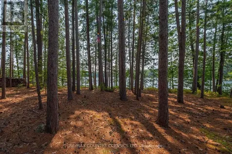 22 Chandos Lk Balmer Island North Kawartha ON K0L 1A0