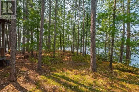 22 Chandos Lk Balmer Island North Kawartha ON K0L 1A0