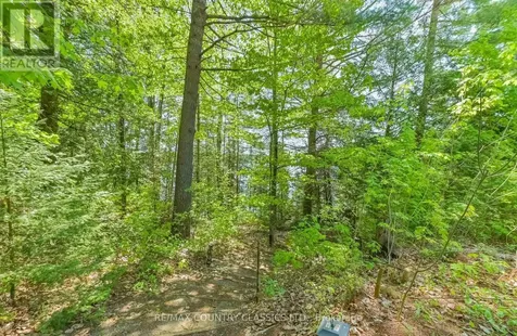 143 Scott Settlement Road North Kawartha ON K0L 1A0