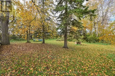 6336 Concession Road 7 Adjala-tosorontio ON L0M 1J0