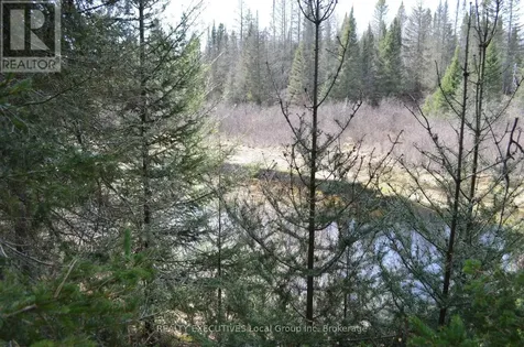 71 Black Creek Road North Nipissing ON P0H 1W0