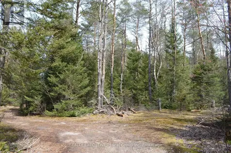 71 Black Creek Road North Nipissing ON P0H 1W0