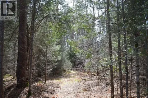 71 Black Creek Road North Nipissing ON P0H 1W0