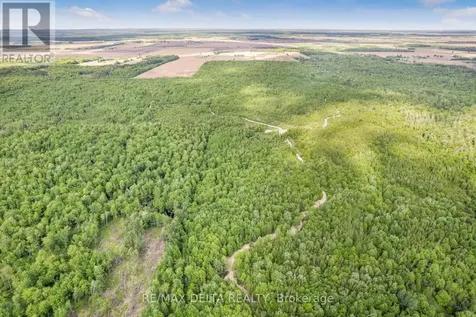 Lot 14 Bouvier Road Clarence-rockland ON K0A 2A0