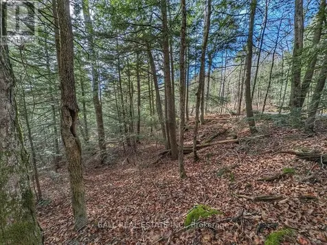 Lt 19-20 Fire Route 67 Havelock-belmont-methuen ON K0L 1Z0