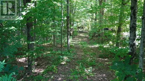 25 Peninsula Shore Road East Mcdougall ON P2A 2W9