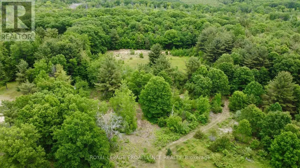 207 Middle Ridge Road Brighton ON K0K 1H0