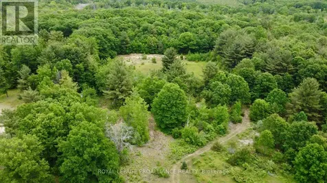 207 Middle Ridge Road Brighton ON K0K 1H0