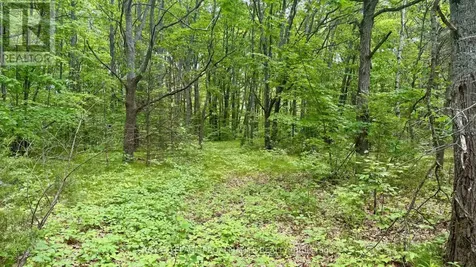 207 Middle Ridge Road Brighton ON K0K 1H0