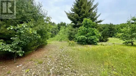 207 Middle Ridge Road Brighton ON K0K 1H0