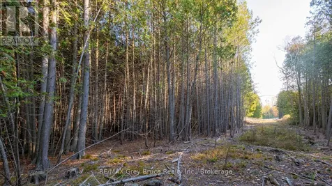 Sauble Falls Parkway South Bruce Peninsula ON N0H 2G0
