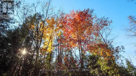Sauble Falls Parkway South Bruce Peninsula ON N0H 2G0