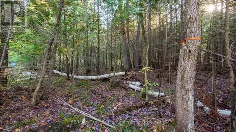 Sauble Falls Parkway South Bruce Peninsula ON N0H 2G0