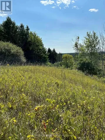 Lot 29 5th Line East Mulmur ON L9V 0J8