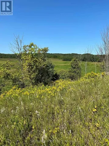 Lot 29 5th Line East Mulmur ON L9V 0J8