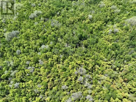101 Log Cabin Lane South Bruce Peninsula ON N0H 2T0