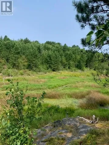 273 Dryden Sudbury ON P0M 3C0