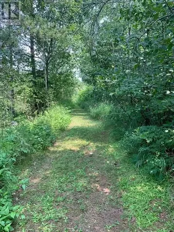 273 Dryden Sudbury ON P0M 3C0