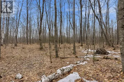 00 Part Of Lot 11 Gagne Road Clarence-rockland ON K0A 2A0